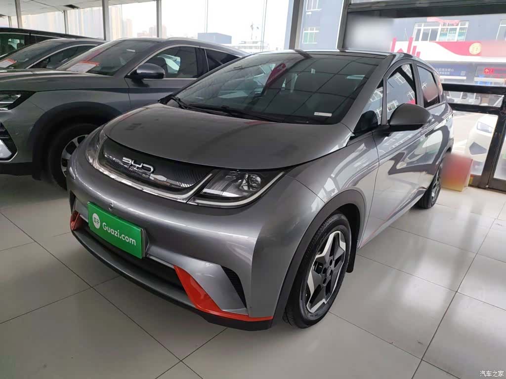 BYD Dolphin, 2022 2