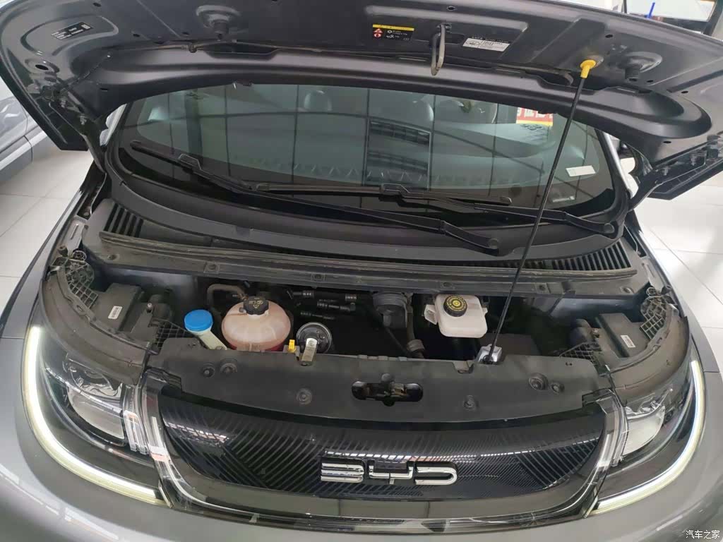 BYD Dolphin, 2022 16
