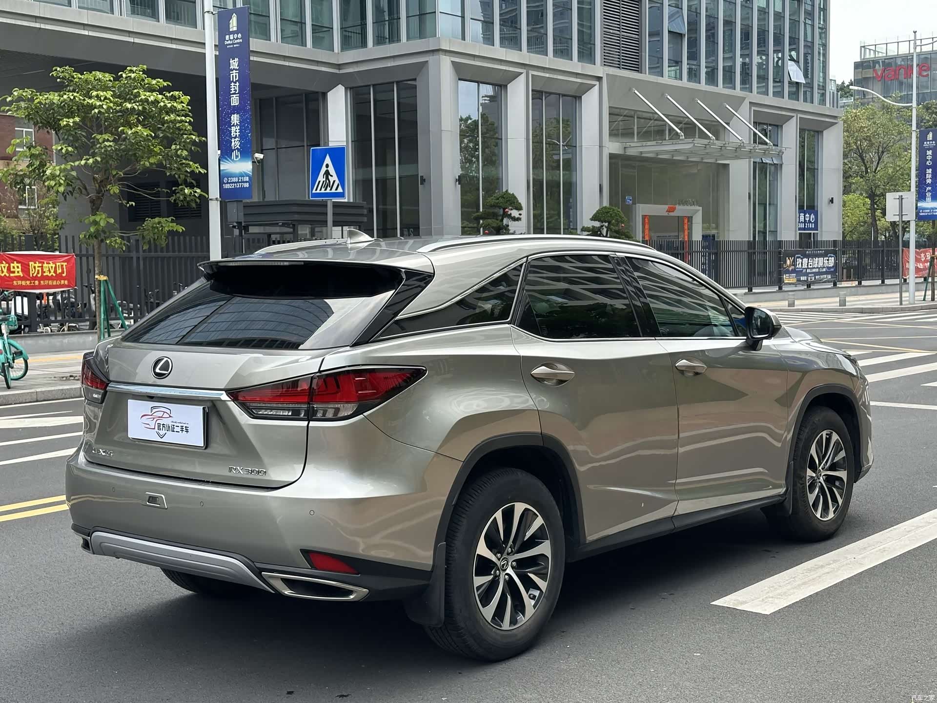 Lexus RX, 2021 4