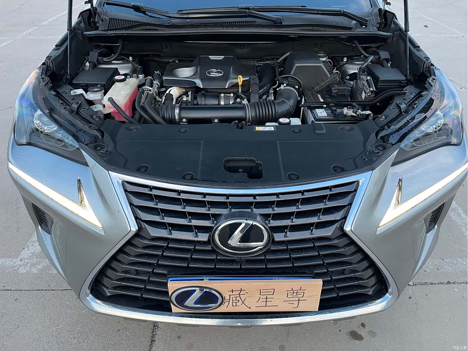 Lexus NX, 2018 18