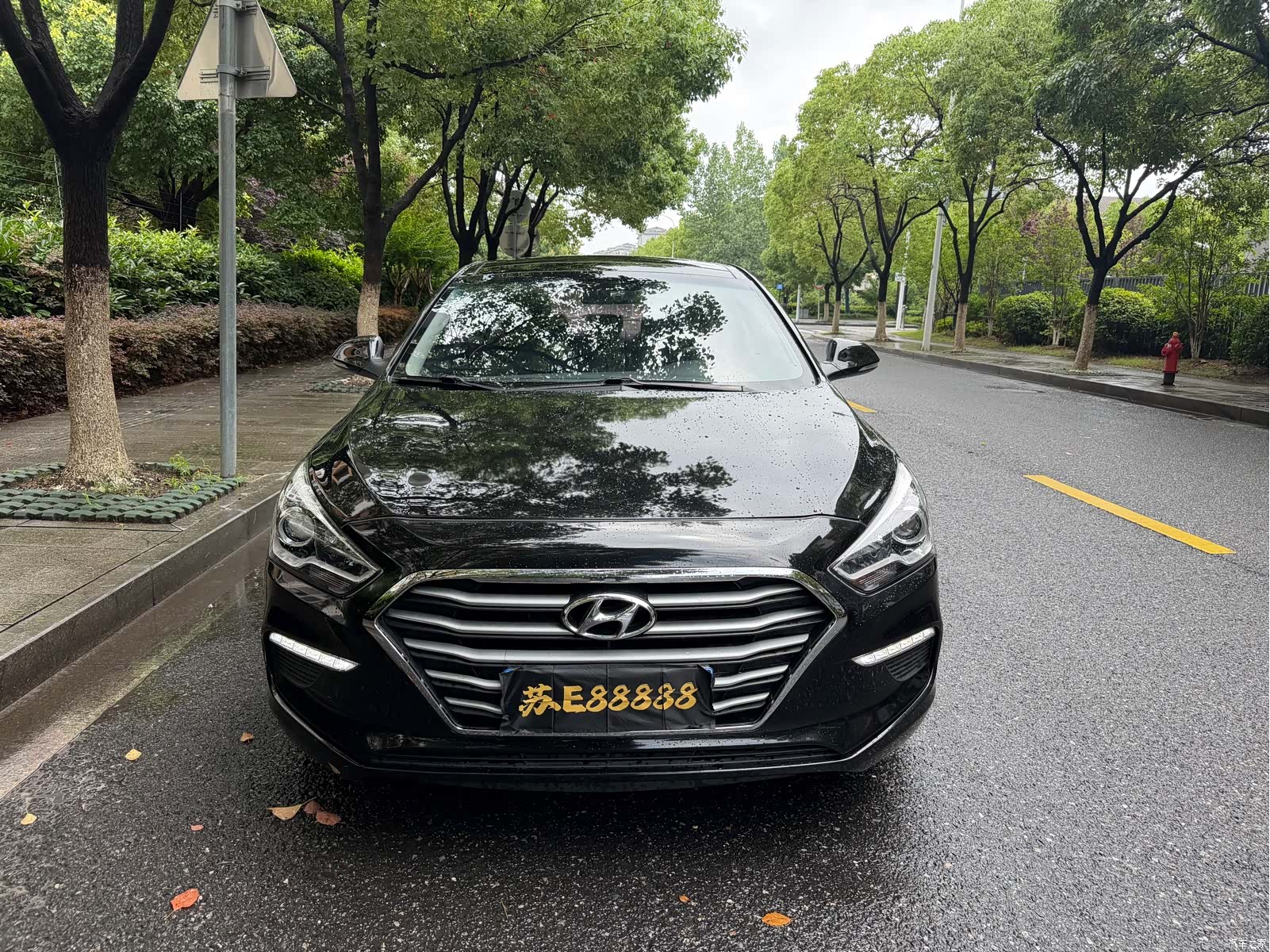 Hyundai GLS, 2019 2