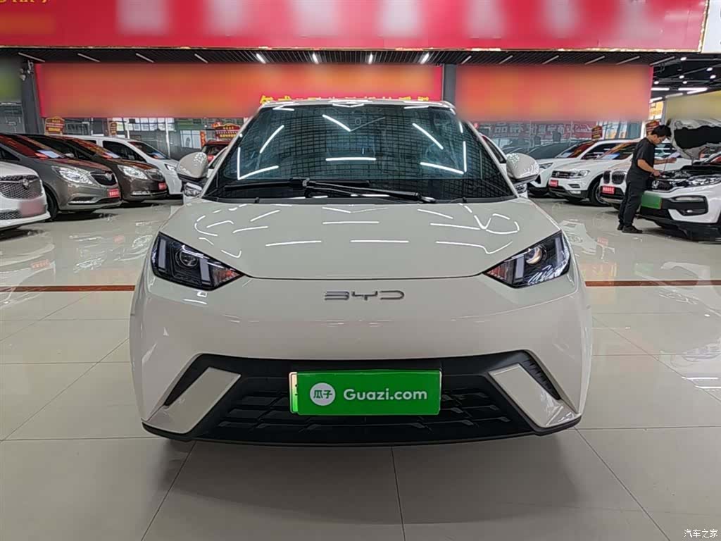 BYD Seagull, 2024 3