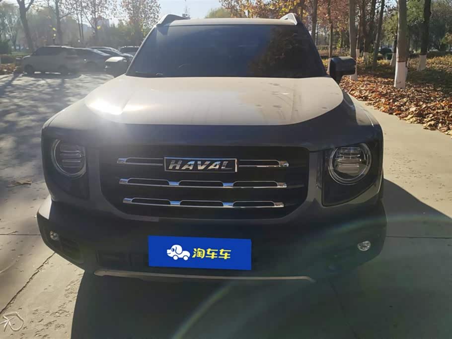 Haval Big dog