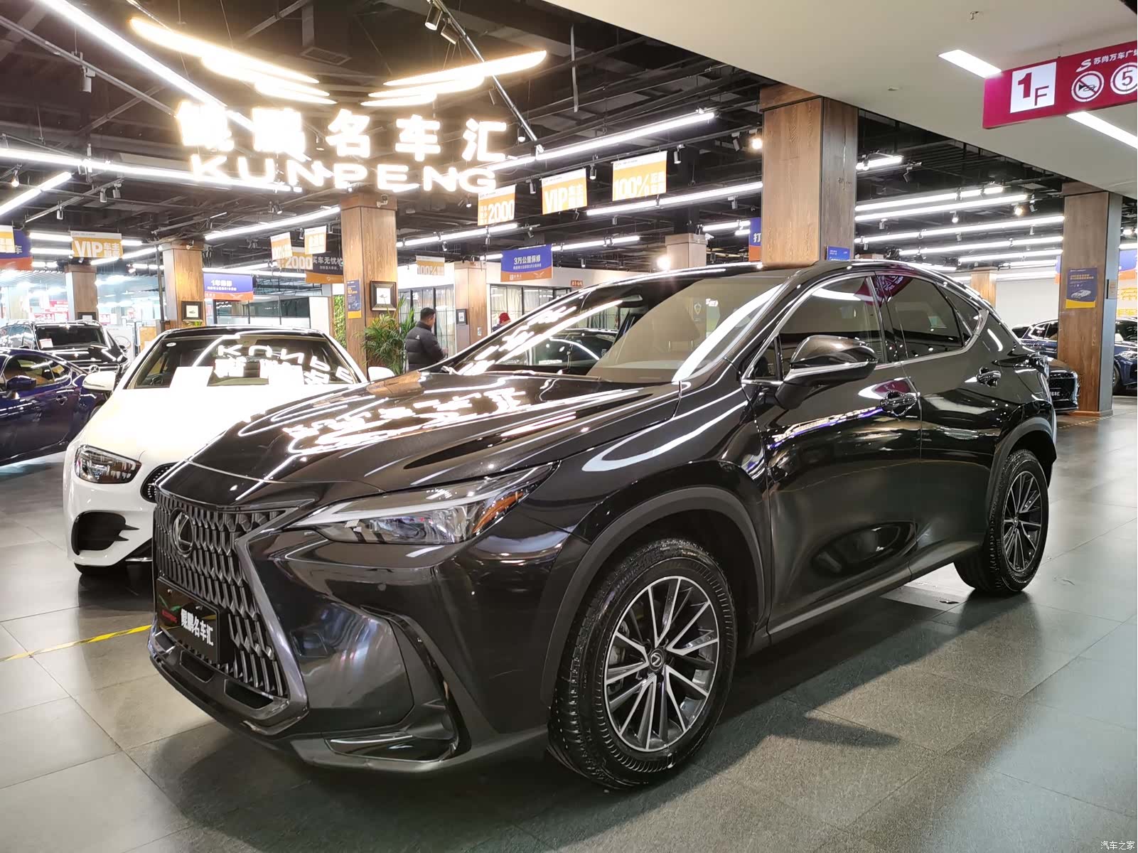 Lexus NX, 2023 1