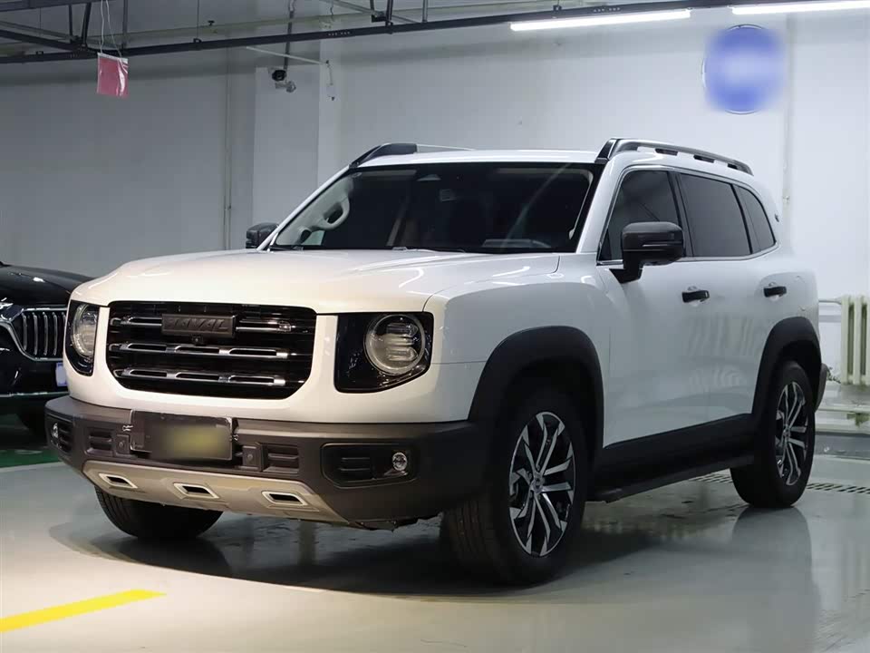 Haval Big dog