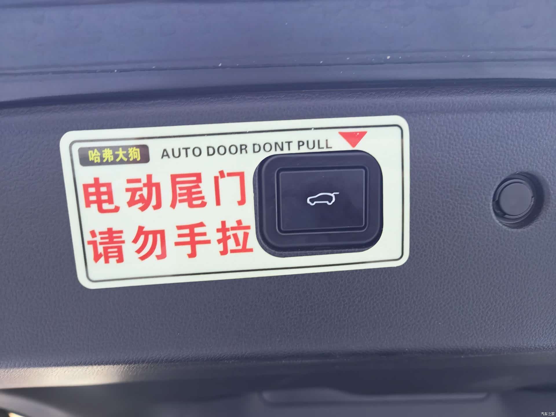 Haval Big Dog, 2024 21