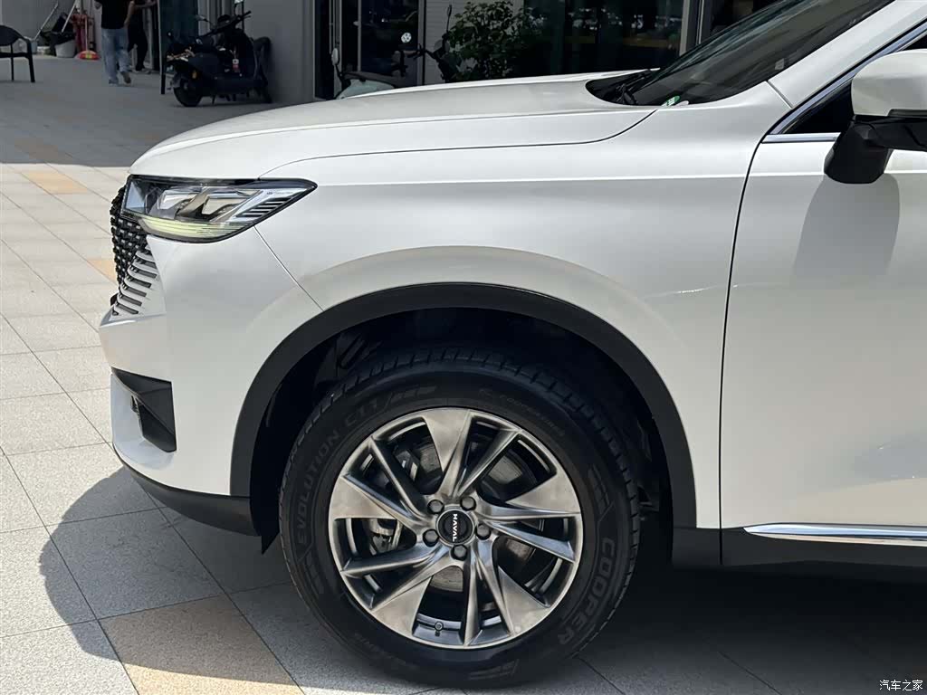 Haval H6, 2023 все фото