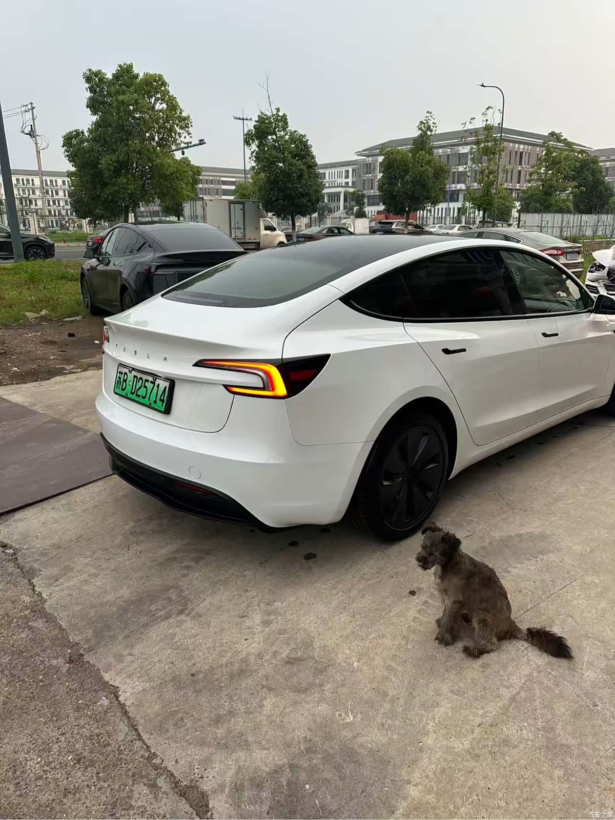 Tesla Model 3, 2025 4
