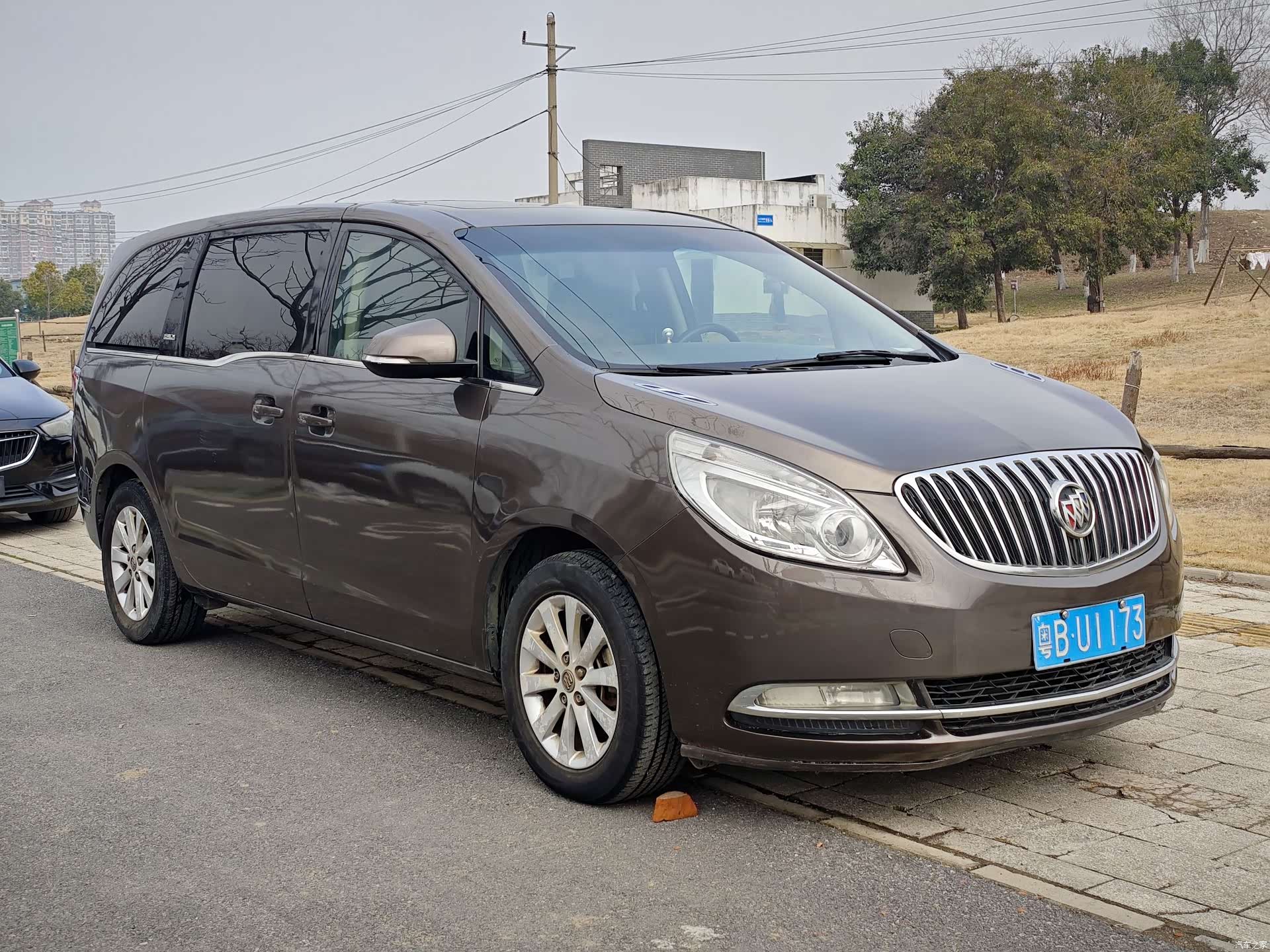Buick GL8, 2014 3