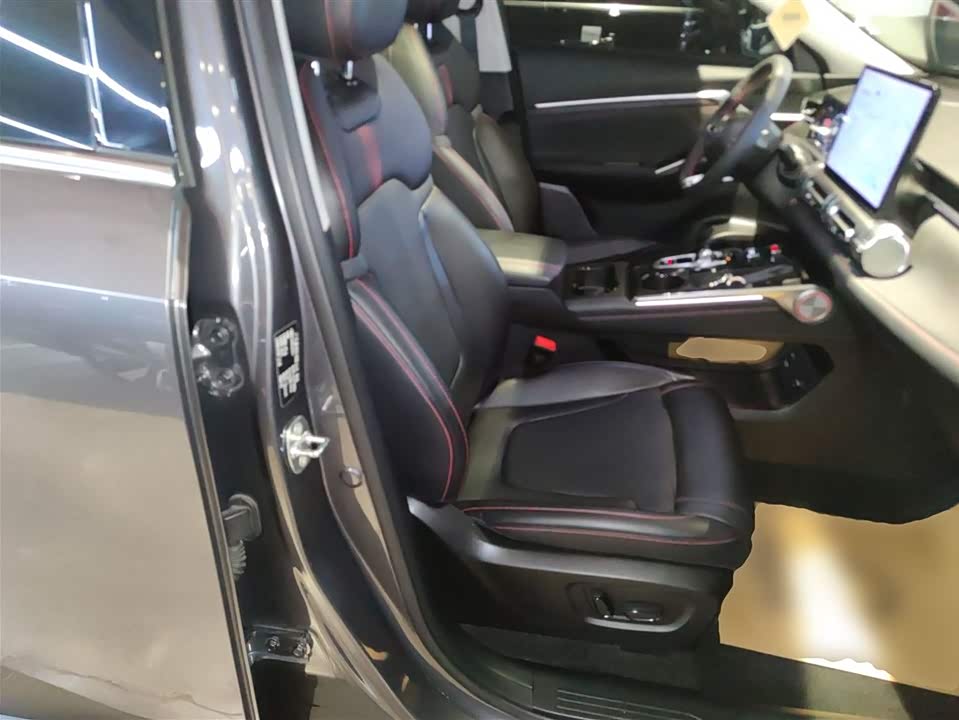 Trumpchi Shadow cool