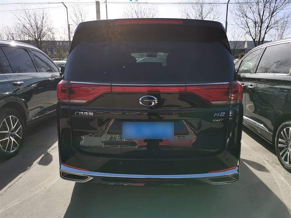 Trumpchi Trumpchi M8