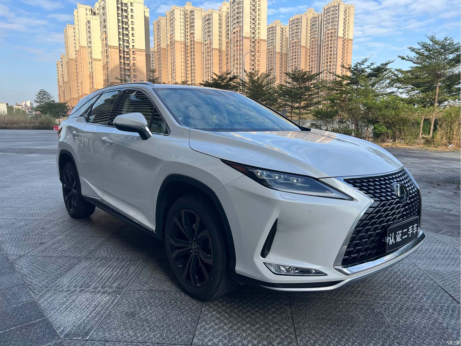 Lexus RX, 2025 2