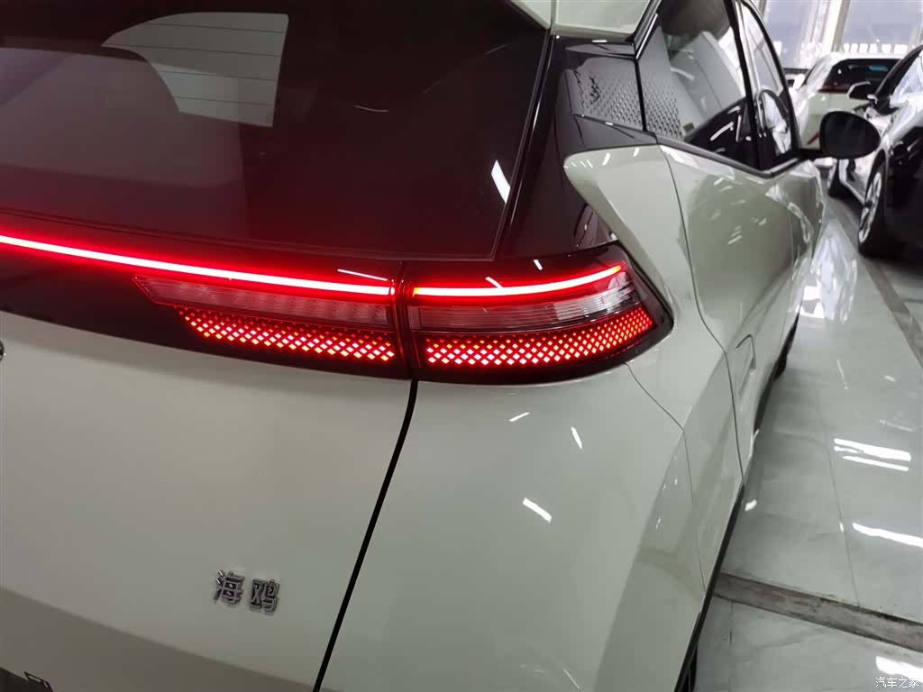 BYD Seagull, 2025 24