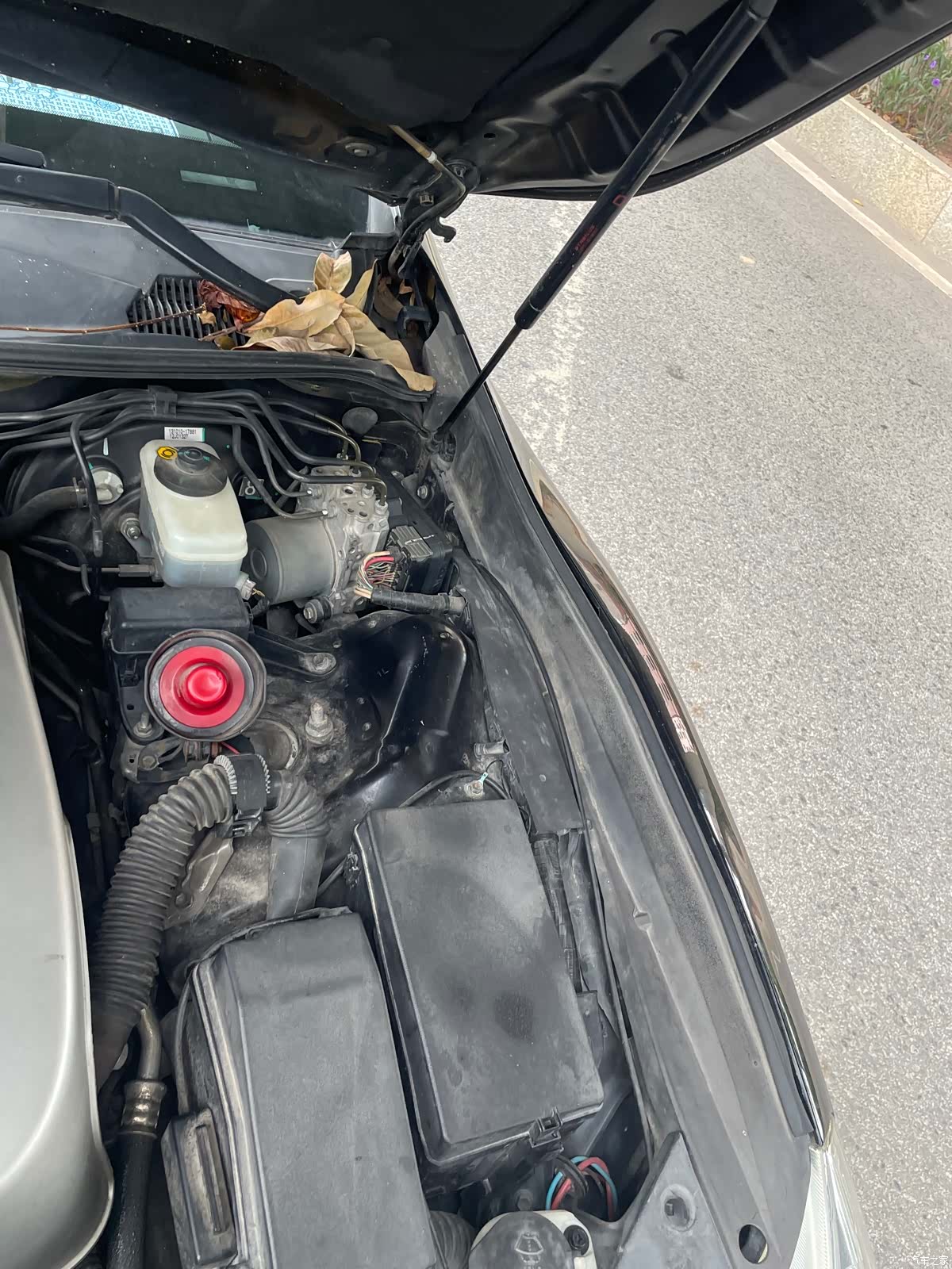 Toyota 2.5V, 2012 17