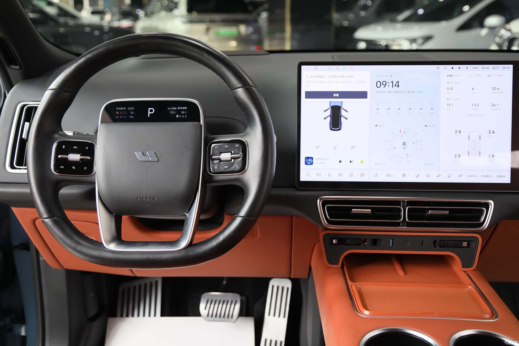Li Auto L9, 2023 13