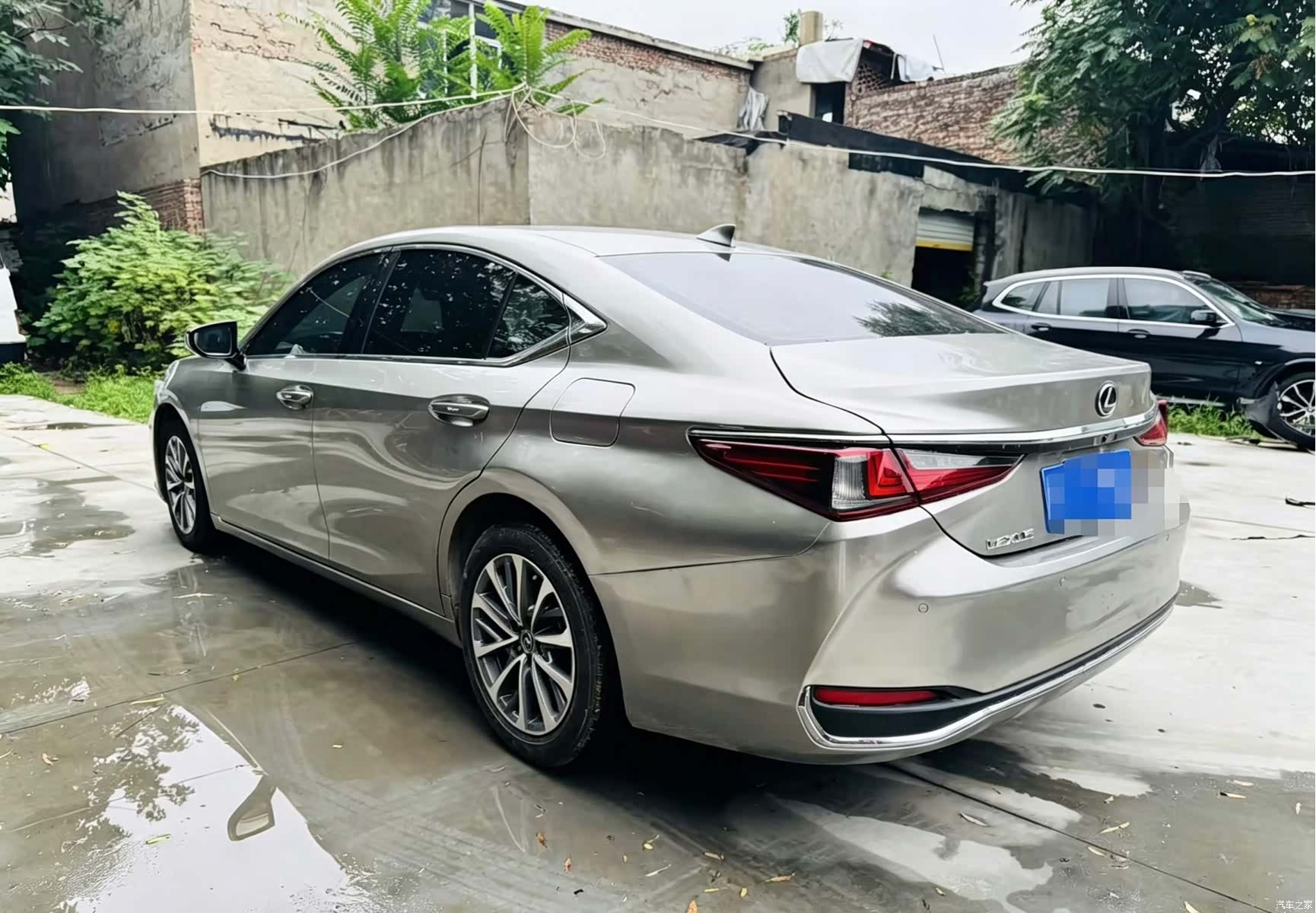 Lexus ES, 2022 все фото