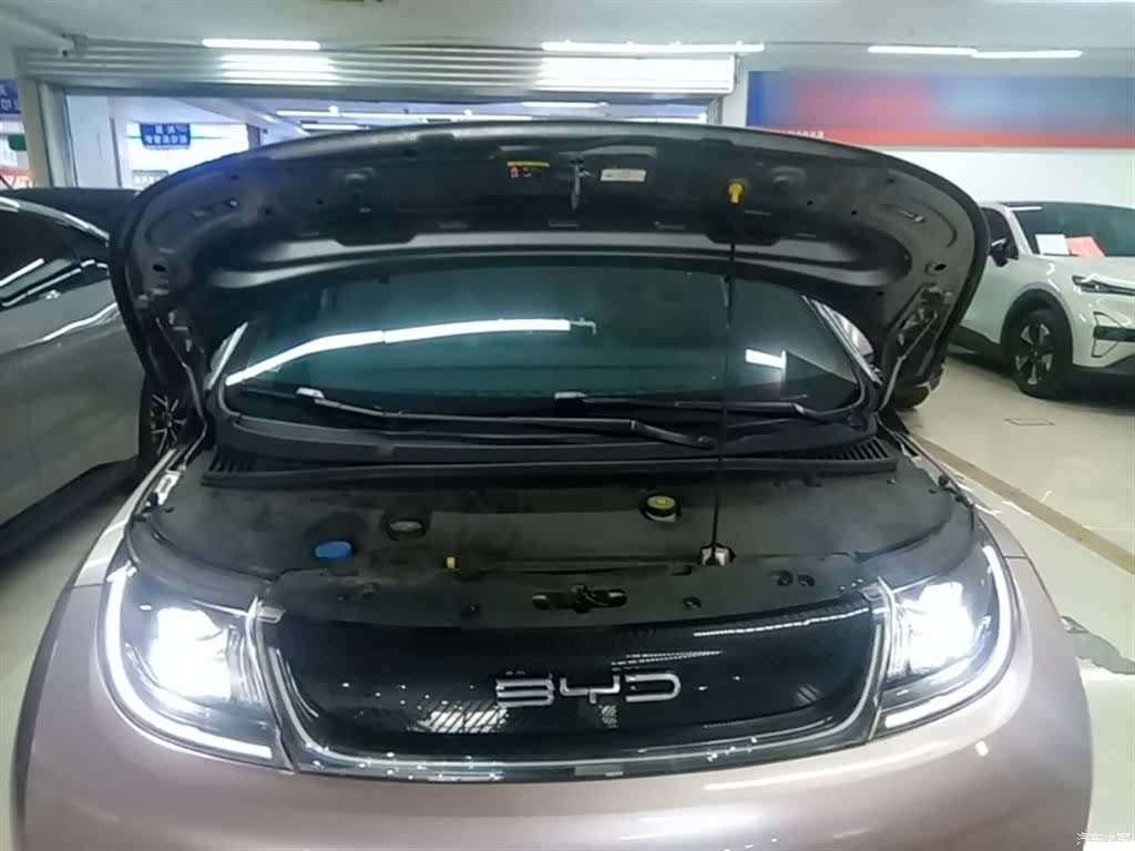 BYD Dolphin, 2021 20