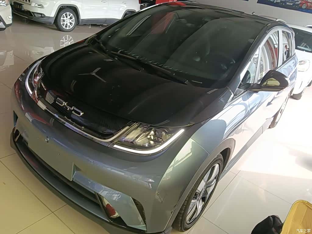 BYD Dolphin, 2023 1