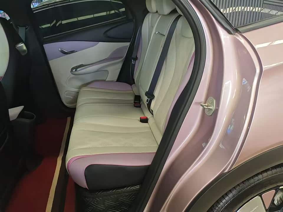 BYD dolphin