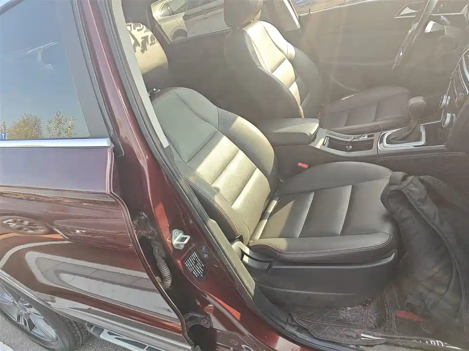 Leopaard Cheetah CS10