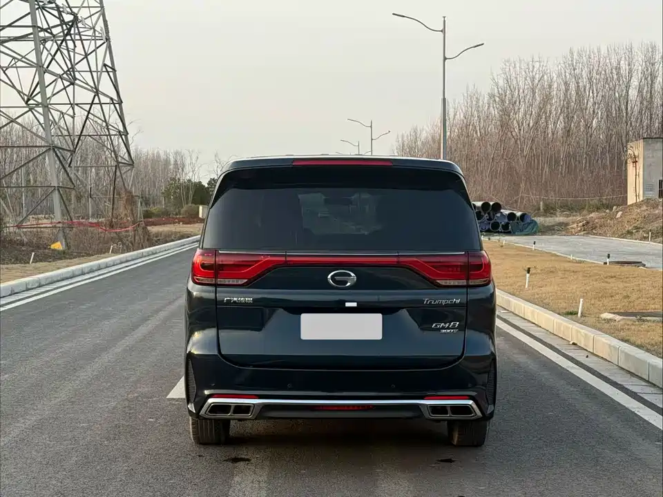 Trumpchi Trumpchi M8