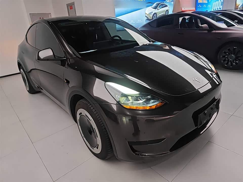 Tesla Model Y Tesla Model Y
