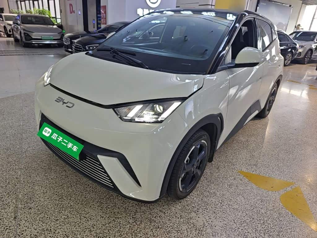 BYD Seagull