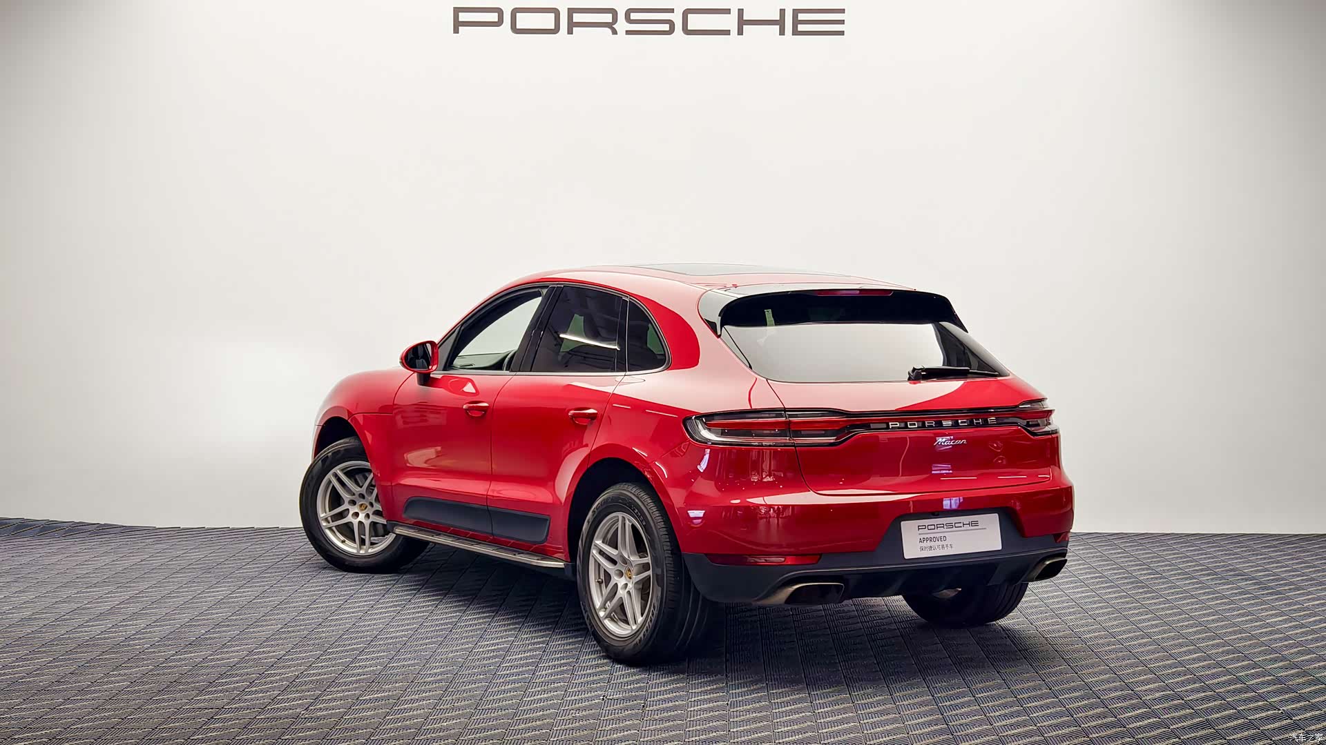 Macan Macan, 2019 4