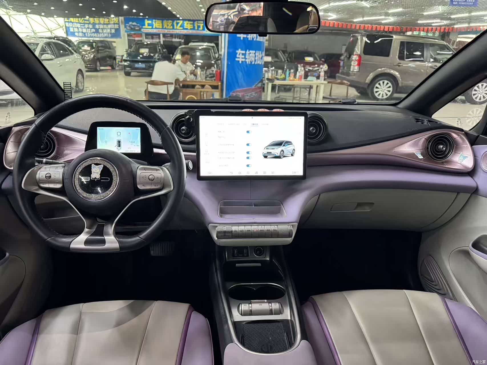 BYD Dolphin, 2022 7