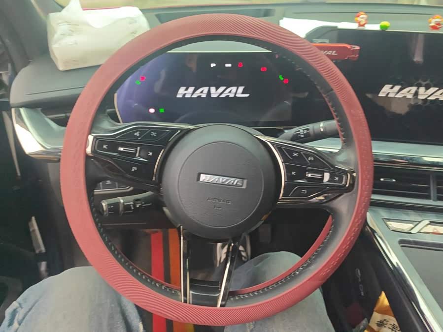 Haval Shenshou 2022, фото 15