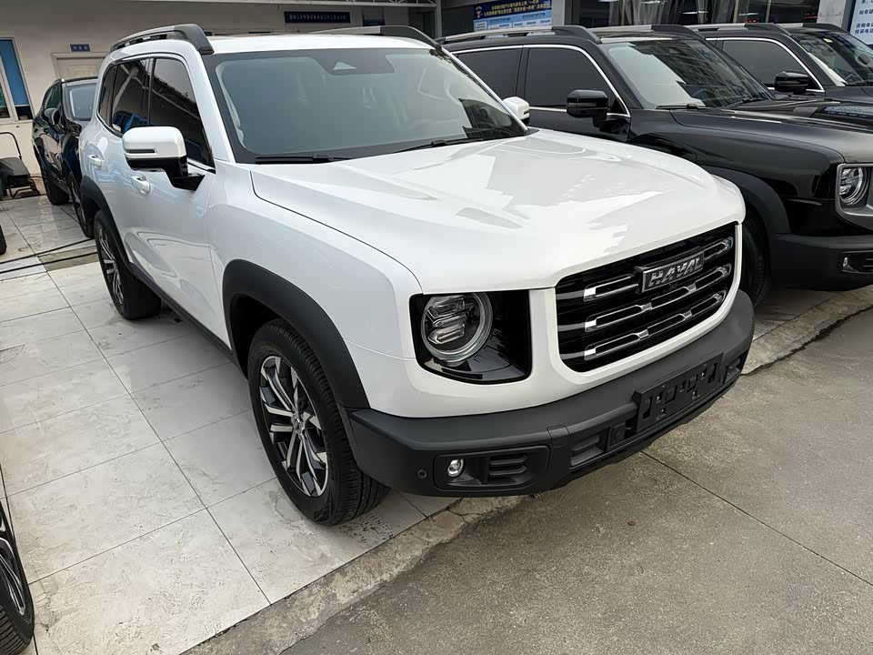 Haval Big dog