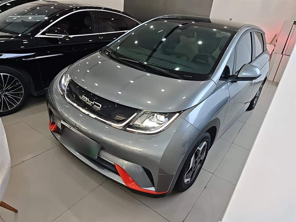 BYD dolphin