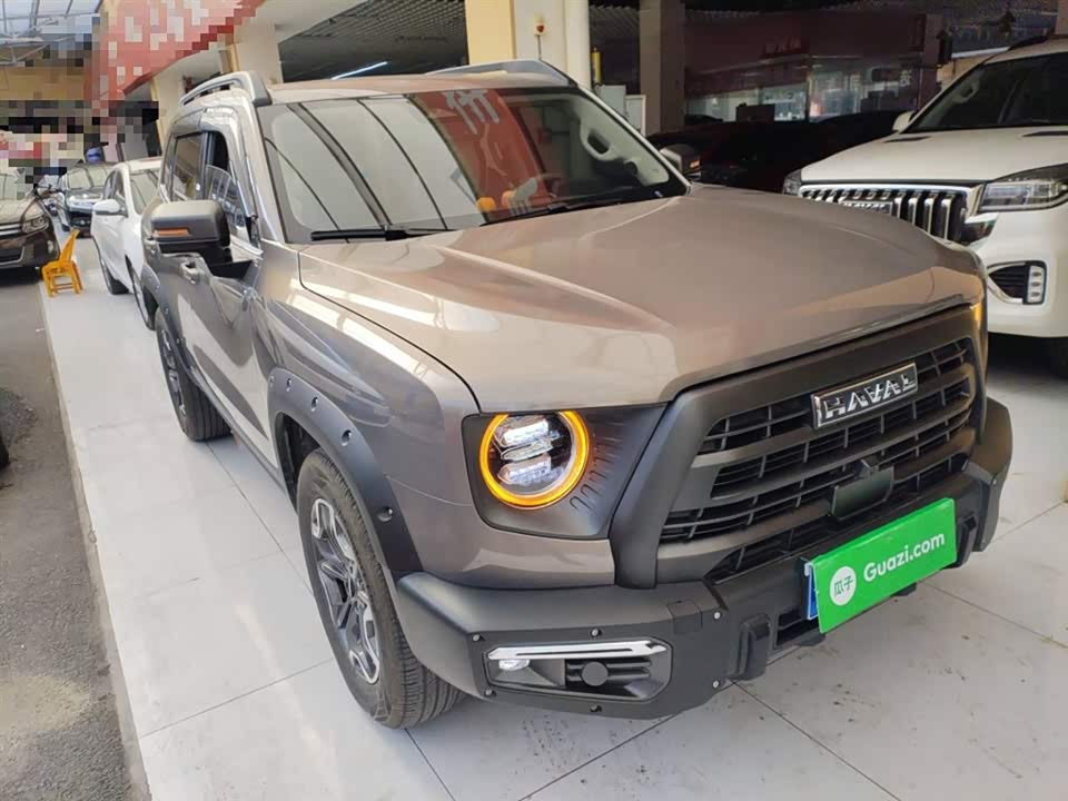 Haval Big dog