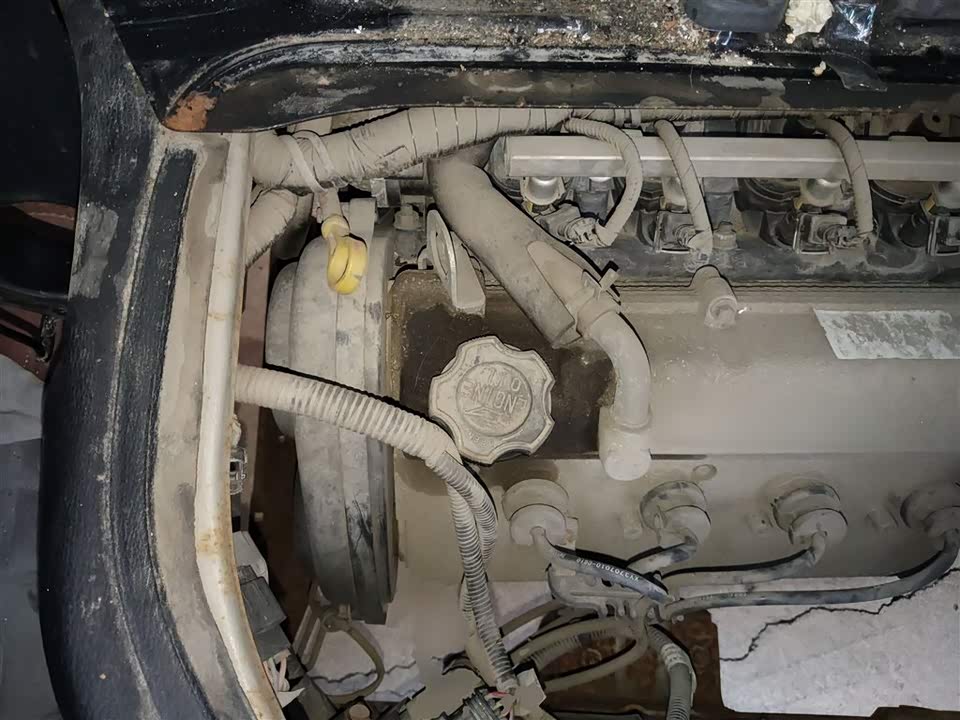 Jinbei Little Sea Lion X30