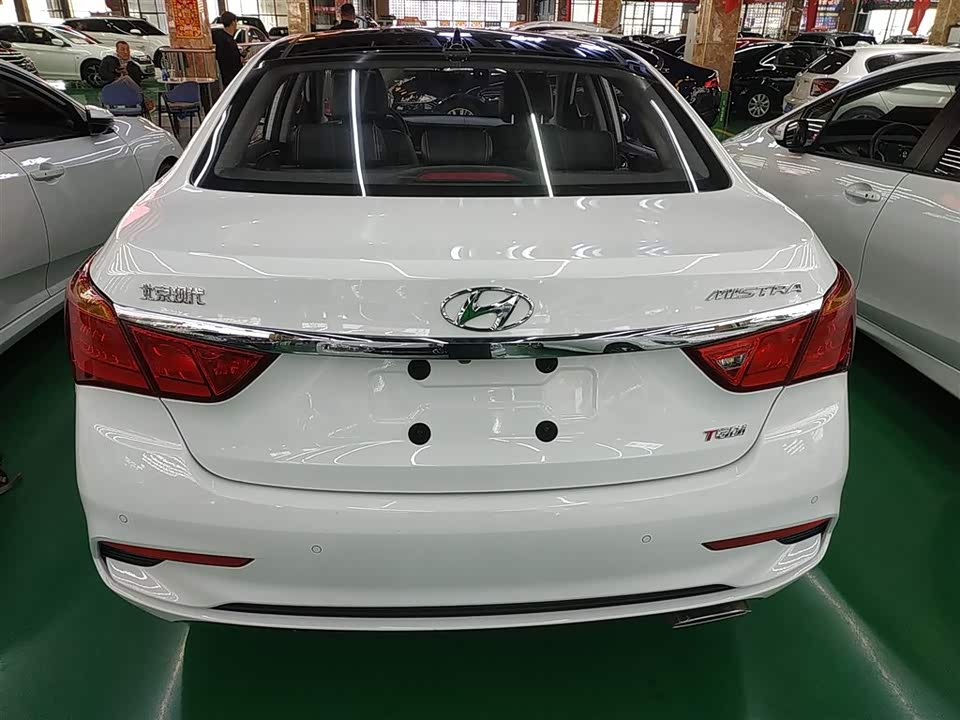 Hyundai Name picture