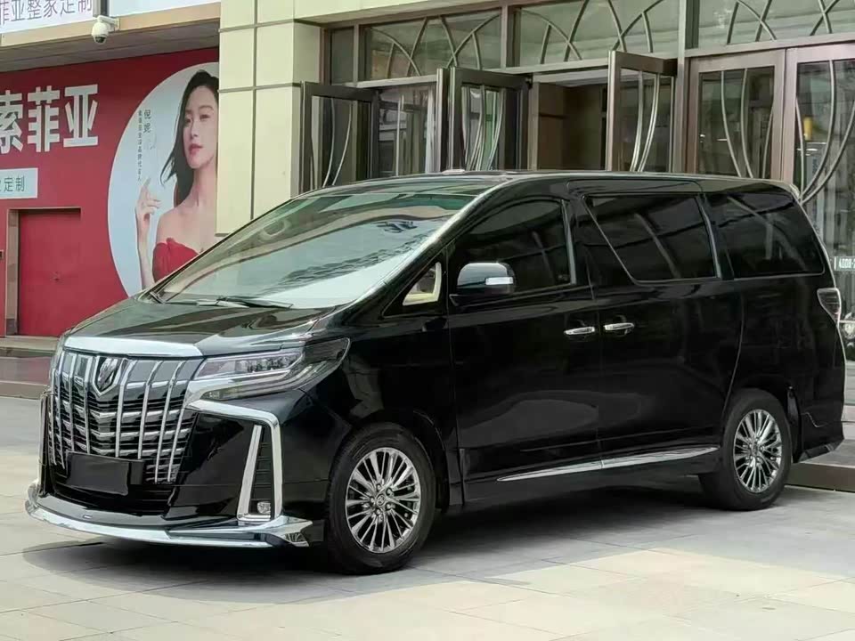 Toyota Elfa