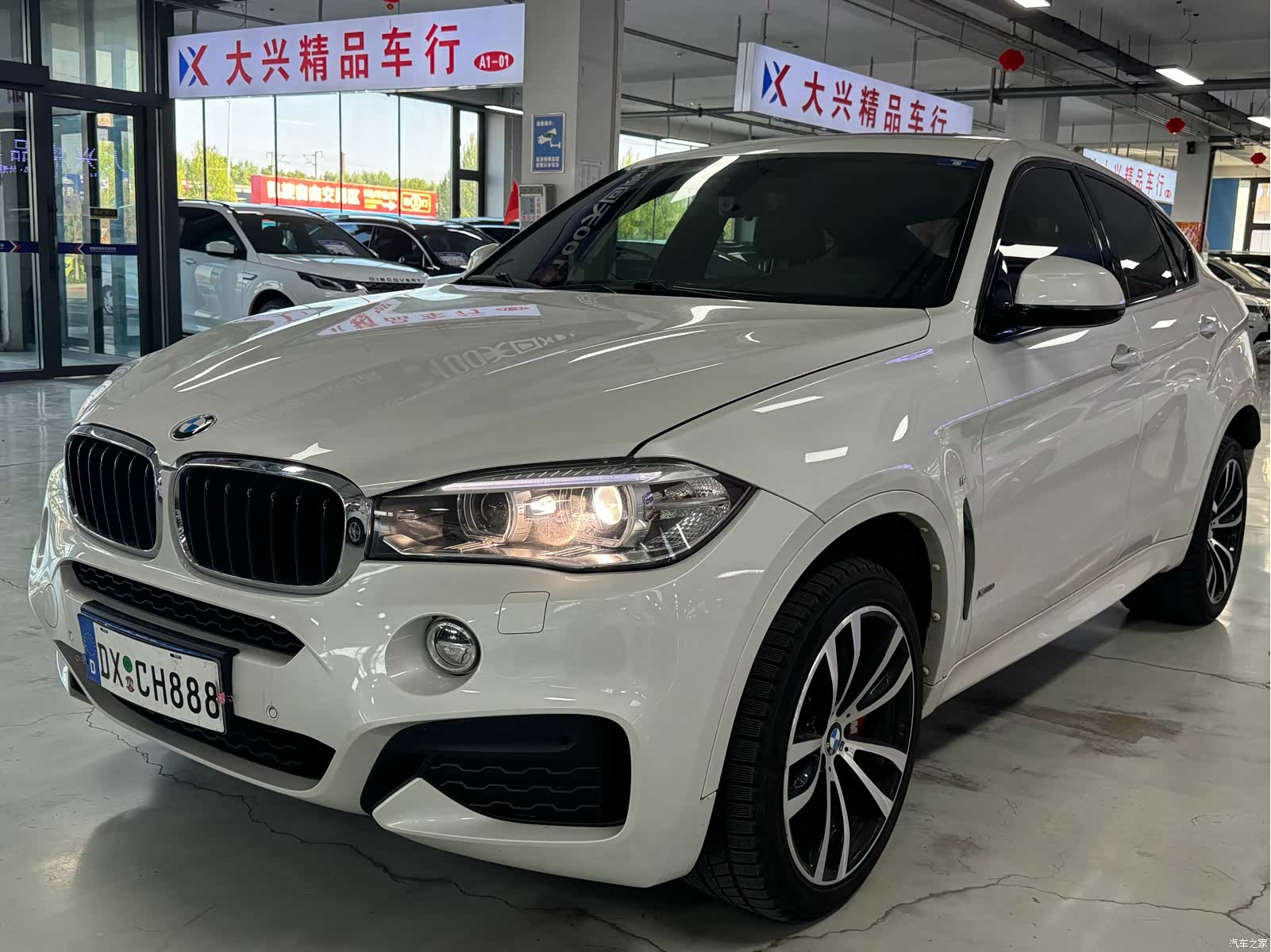 BMW X6, 2019 1