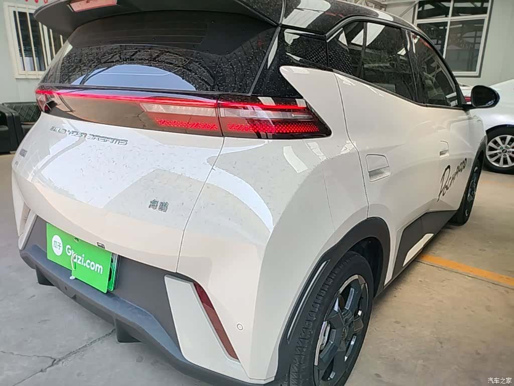 BYD Seagull, 2024 8