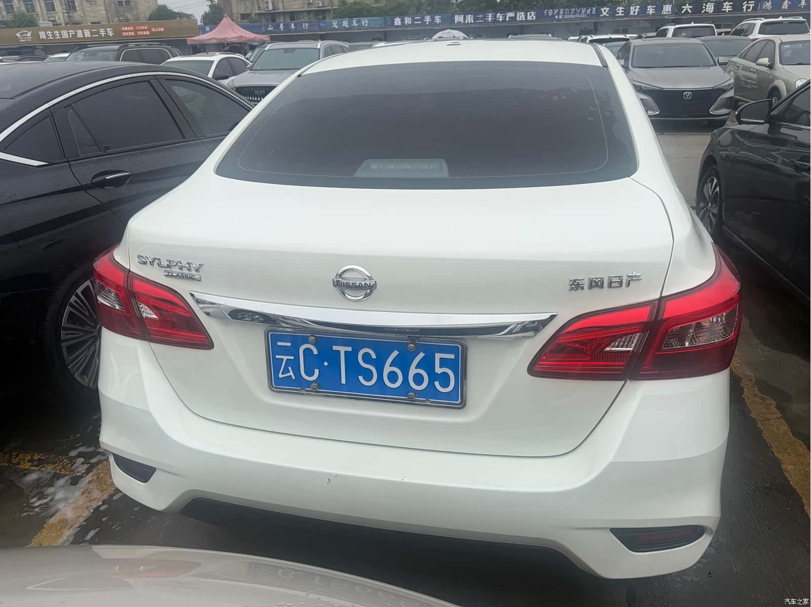 Nissan Sylphy, 2025 15