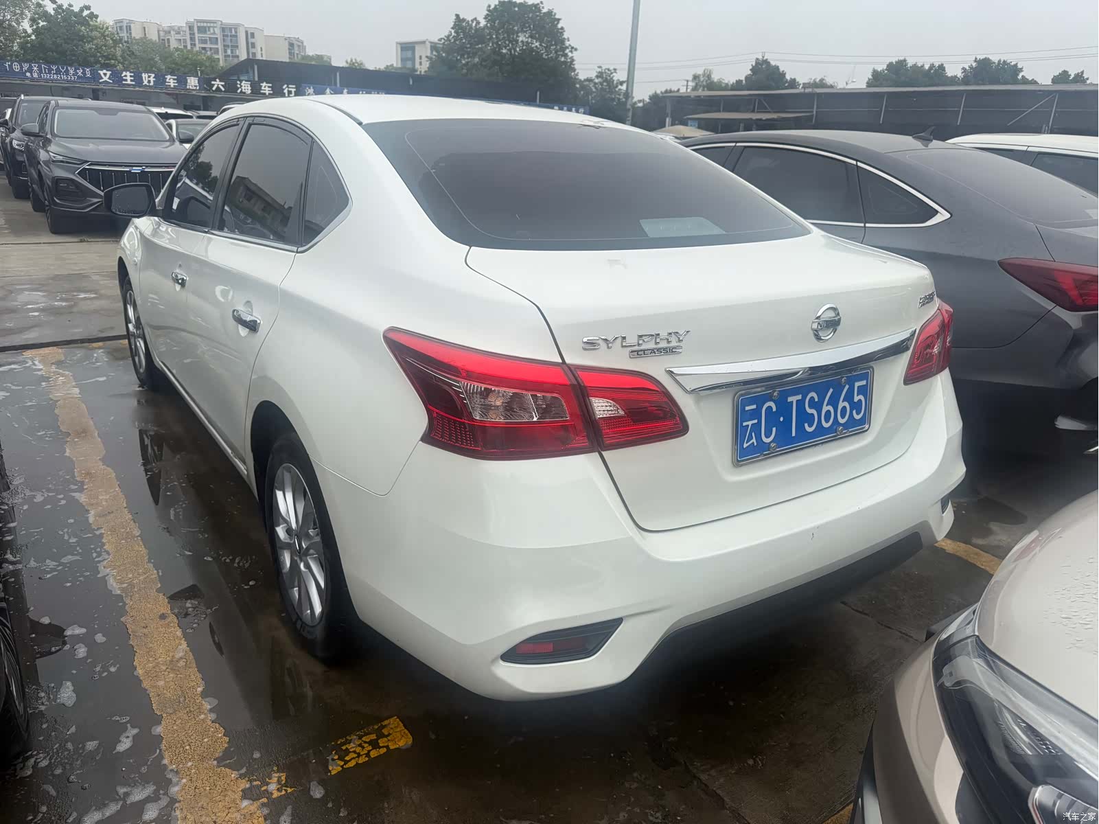 Nissan Sylphy, 2025 14