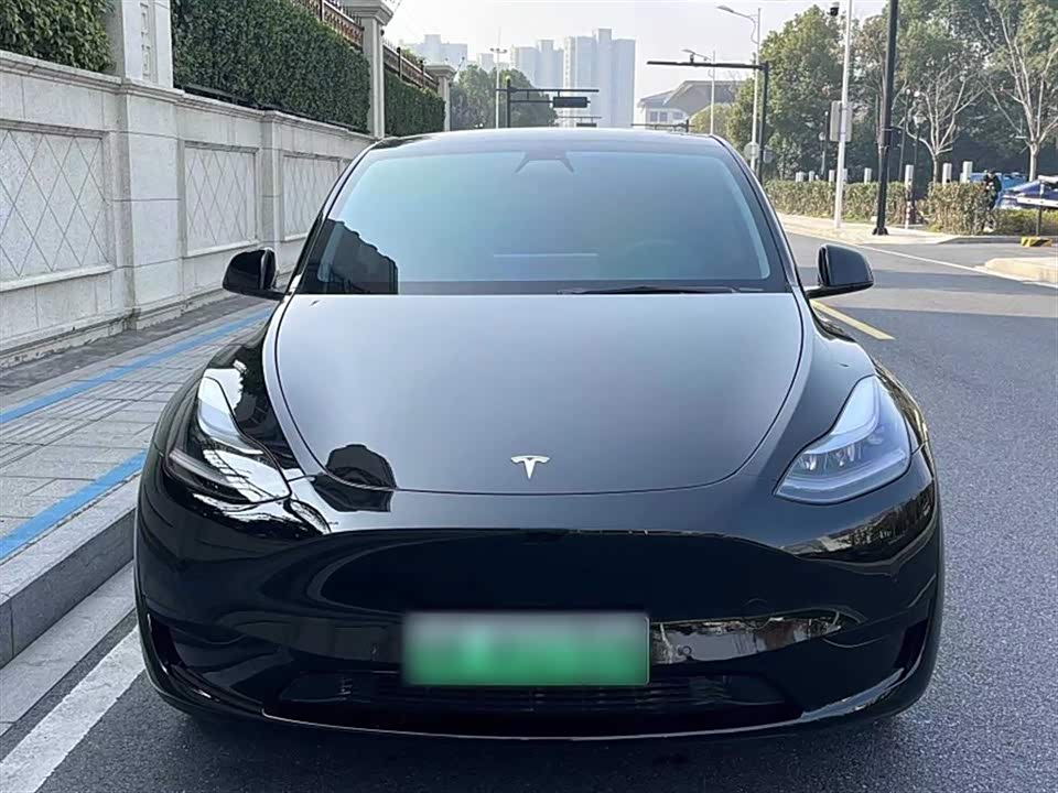 Tesla Model Y Tesla Model Y