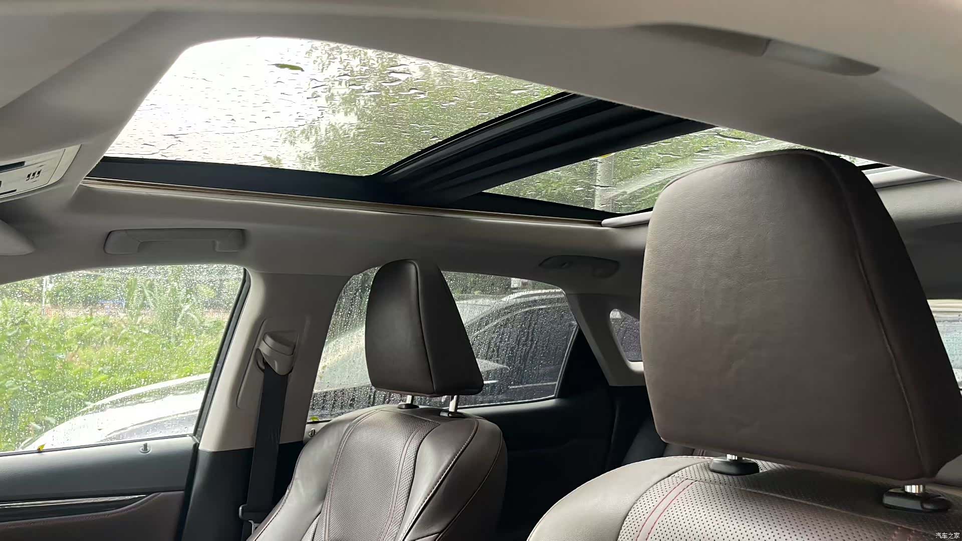 Lexus RX, 2022 все фото