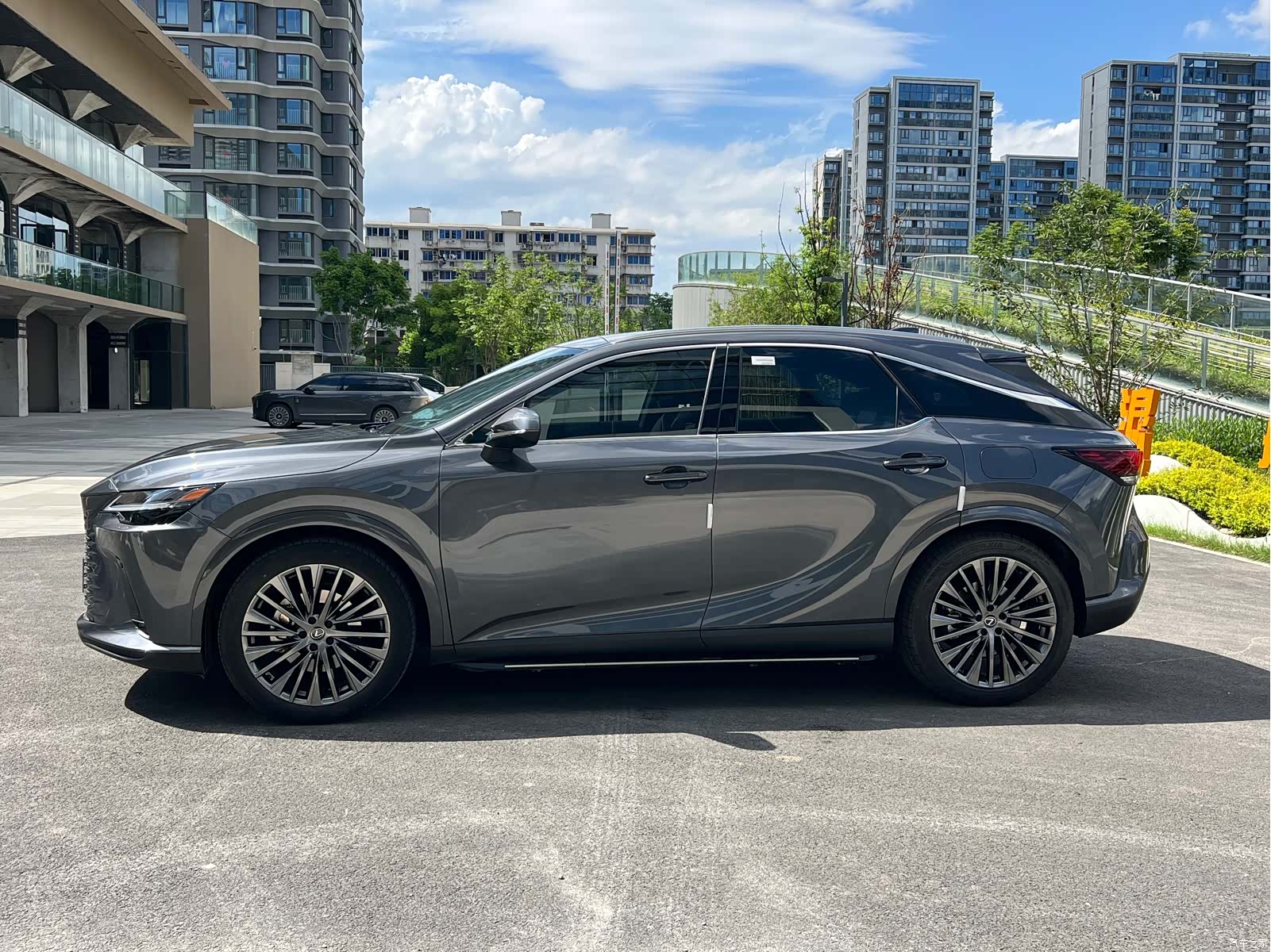 Lexus RX, 2023 14