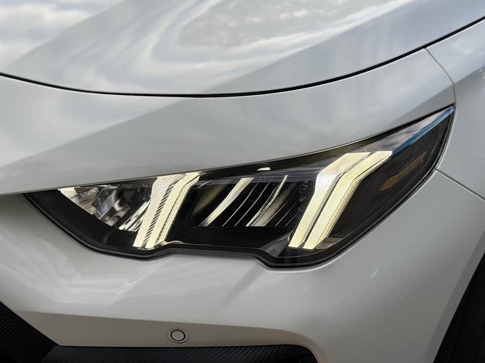 Trumpchi Shadow Leopard