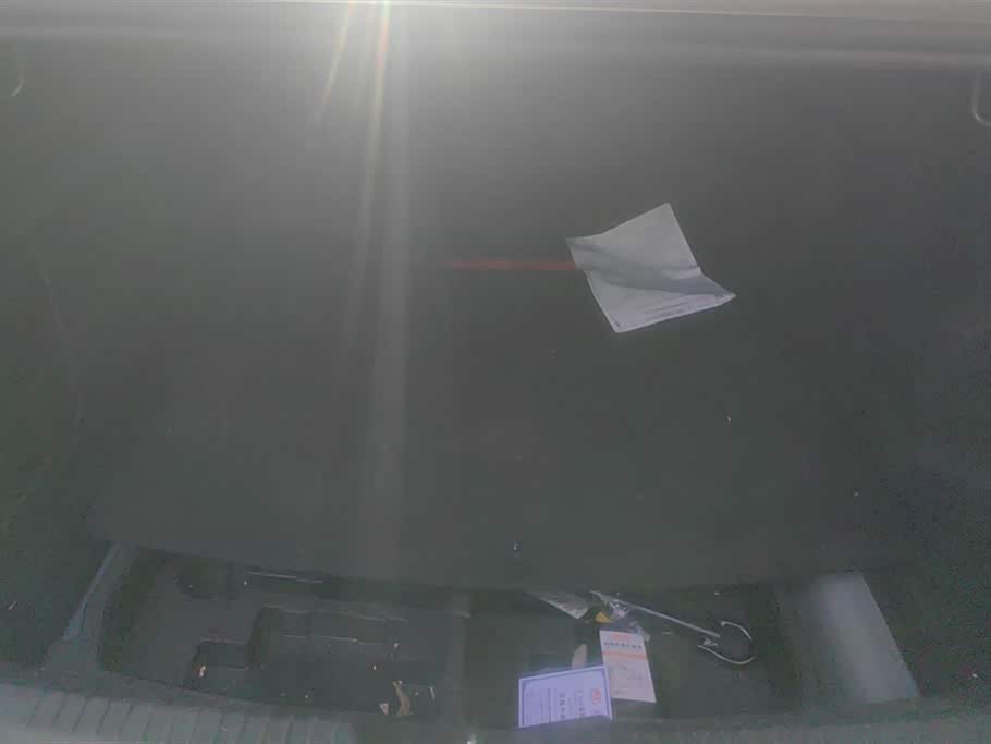 Trumpchi Shadow Leopard