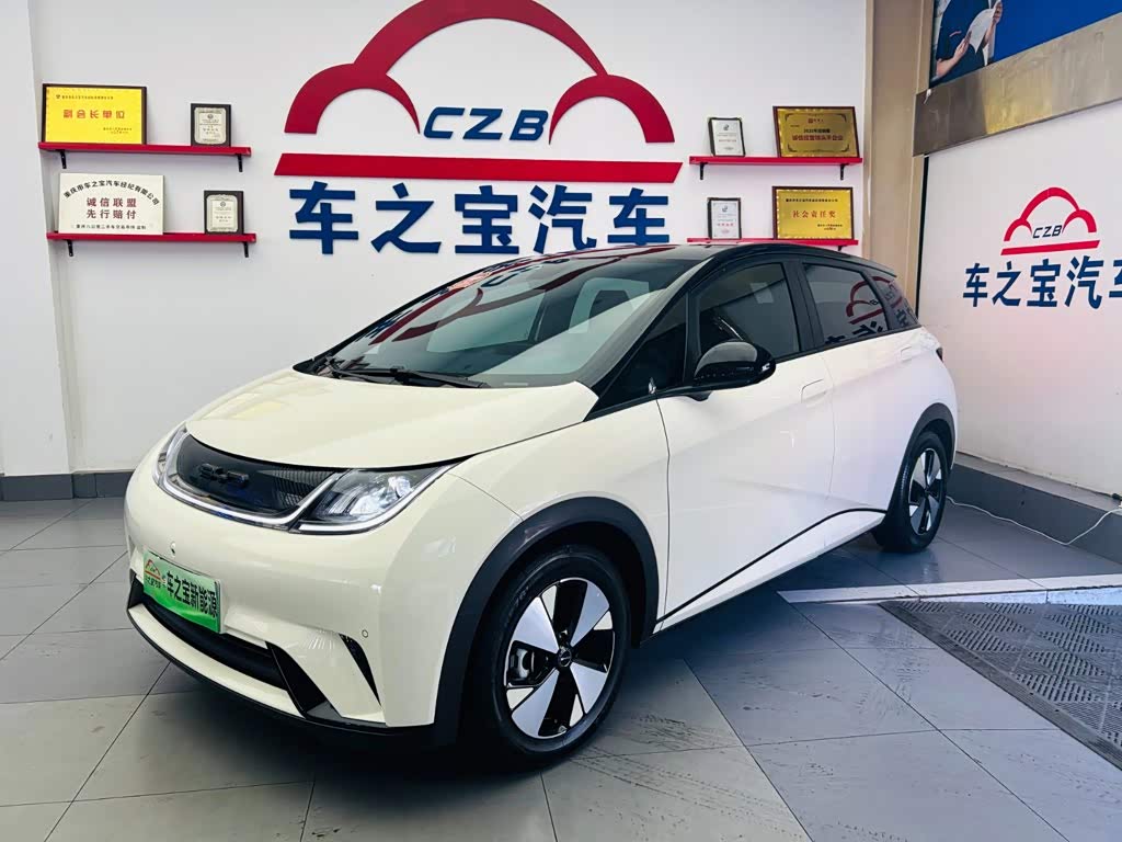 BYD Dolphin