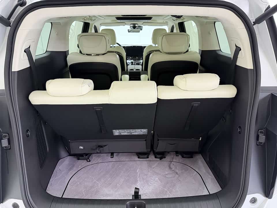 Trumpchi Trumpchi E9