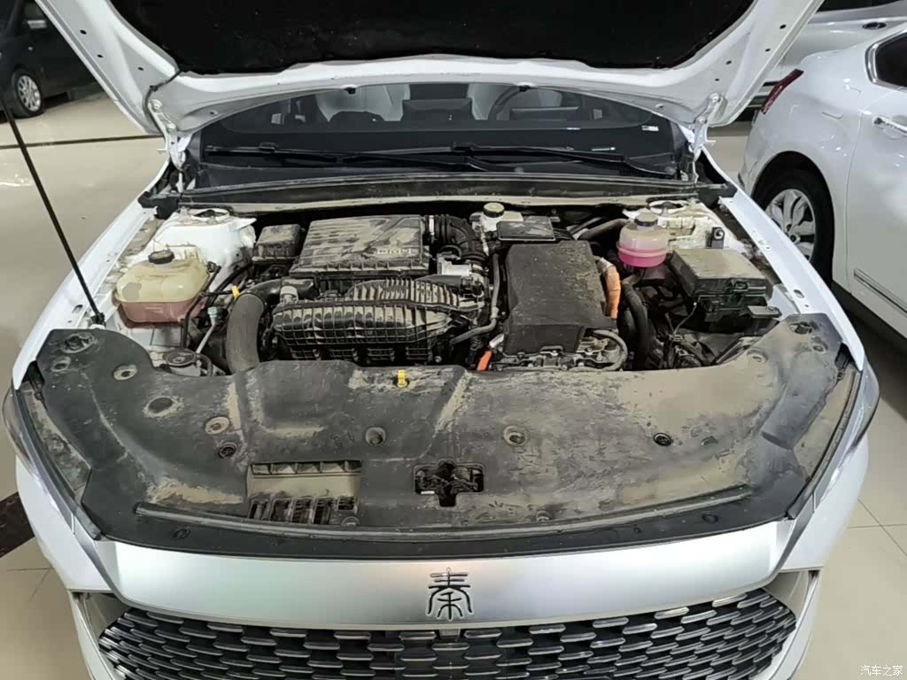 BYD Qin, 2023 20
