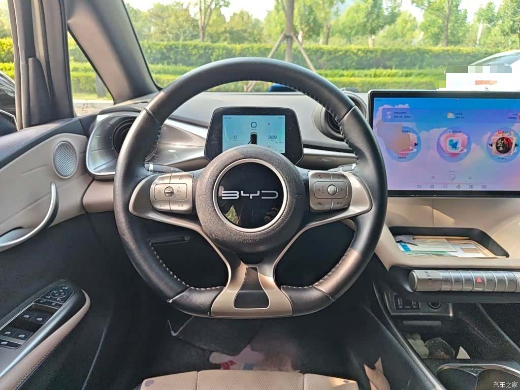 BYD Dolphin, 2024 3