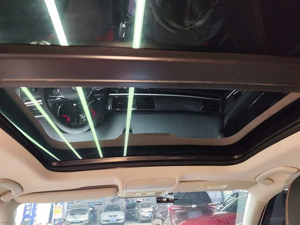 Volkswagen C-TREK Wei Collar